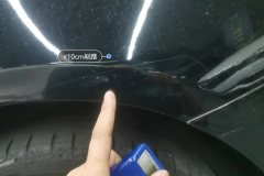 Лев. Задн. крыло