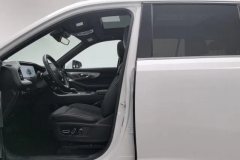 2024 GAC Trumpchi Trumpchi GS8 2024 PilotSeries 2.0TGDI 4WDLuxurySmart Connect 7Seat #13
