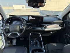 2021 Haval H6 2021 1.5T AT China tideChampion #5