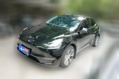 2021 Tesla Model Y 2021StandardBattery lifeRWDEdition #1