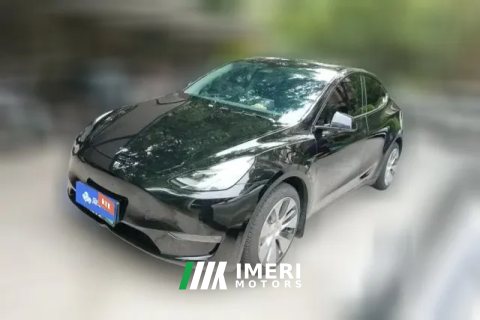 2021 Tesla Model Y 2021StandardBattery lifeRWDEdition
