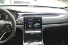 2022 GAC Trumpchi Trumpchi GS4 Plus 2021 1.5T AT 270T starsEdition #13