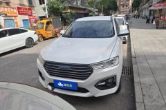 2019 Haval H6 2019 1.5T AT Blue LabelUrbanEdition #2