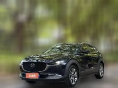 2021 Mazda CX-30 2021 2.0L AT Jiayue #1