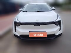 2022 Neta U 2021 Facelift Pro 400 industryCustom #2