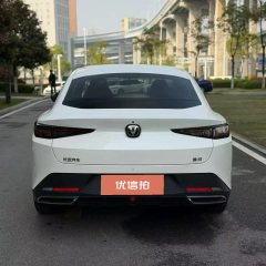 2025 Chang'an Eado 2024 1.5T AT GDI Pleasure #8