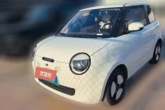 2024 Chang'an Qiyuan Chang'an Lumin 2024 205km orange windEdition #2