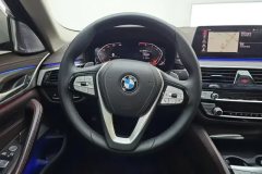 2020 BMW 5 Series 2021 2.0T AT 530LiLeadingLuxury Pkg #15