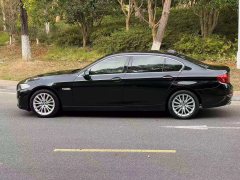 2014 BMW 5 Series 2014 2.0T AT 525LiLuxuryDesign Pkg #5