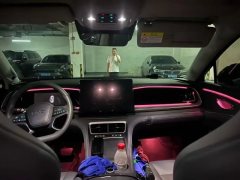 2025 BYD Sea Lion 07 DM-i 2025 150 Pilot #4