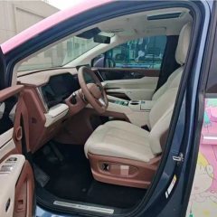 2025 BYD Xia 2025 DM-i 1.5T AT 180km excellence #2