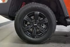 2021 Tank 300 2021 Off-road 2.0TAT conqueror #6