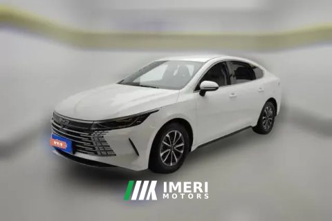 2024 BYD Destroyer 05 2023 Champion 1.5L AT DM-i 55KM Luxury