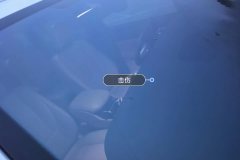 Windshield