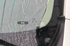 Windshield
