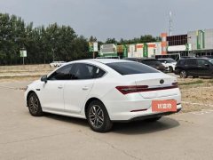 2019 BYD Qin Pro 2018 EV500Smart ConnectLead Yao EV #9