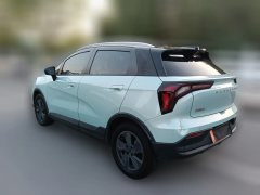 2023 Geometry E Firefly 2023 401KM thunder tiger 5Seat #5