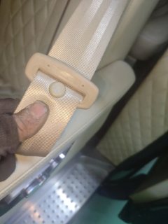 Left Rear Seatbelt