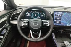2025 GAC Trumpchi Trumpchi GS8 2025 PilotSeries 2.0TGDI AT 2WDLuxury 5Seat #15