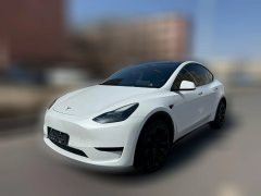 2022 Tesla Model Y 2022 Facelift rear wheel driveEdition #1