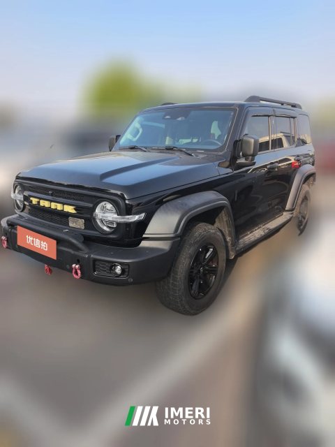 2022 Tank 300 2023 Off-road 2.0T AT conqueror