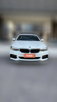 2019 BMW 5 Series 2019 2.0T AT 530LiExclusiveMSport Pkg #5