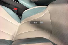 Driver Seat