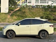 2023 Neta AYA 2023 318 Lite #2