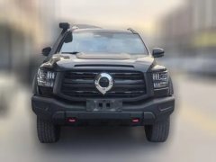 2025 Great Wall Great Wall Shanhai Pao Hi4-T 2025 Hi4-T Performance #2