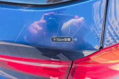 Trunk Lid