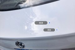 Trunk Lid