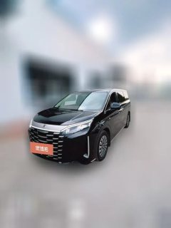 2025 BYD Xia 2025 DM-i 1.5T AT 180km Surpass #1