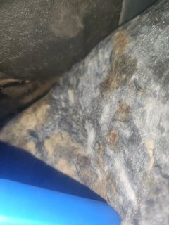 Right Rear Carpet (with Trim)