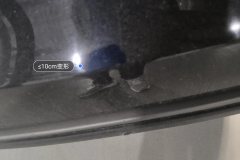Trunk Lid