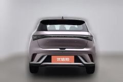 2022 BYD Dolphin 2021 405km Fashion #4