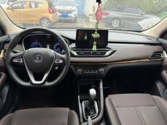 2019 Chang'an Eado DT 2018 1.6 MT Smart #5