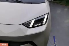 2024 BYD Seagull 2025 305km freeEdition #5