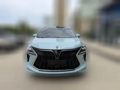 2023 Dongfeng Fengxing Fengxing Youting 2022 1.5T AT DCTChasing the windEdition #2