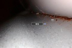 Right Sill Inner Cavity