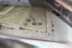 Left Rear Carpet