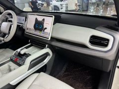 2025 Fangchengbao Ti3 2025 501KM RWDMaxEdition #10