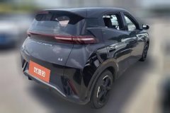 2023 BYD Seagull 2023 freeEdition #3