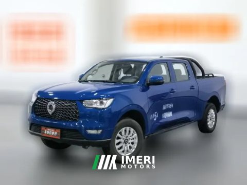 2019 Great Wall Great Wall Pao 2019 2.0TCommercialEditionATGasoline2WDElitelong boxGW4C20B