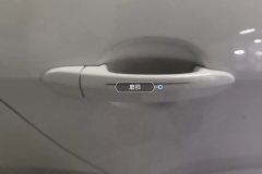 Right Rear Door Handle