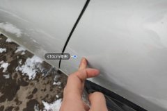 Лев. Задн. крыло