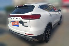 2022 Haval H6 2021 1.5T AT China tideUrbanEdition #3