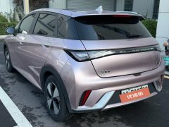 2024 BYD Dolphin 2024 Glory 420km Fashion #6