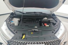 2021 Haval M6 2021 1.5T MT PLUSLuxurySmart Connect #10