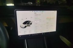 2020 Tesla Model 3 2020 Facelift StandardBattery lifeRWDUpgradeEdition EV #13