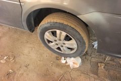 2018 Dongfeng Fengxing Lingzhi 2018 1.5 MT M3basicEdition5Seat #6